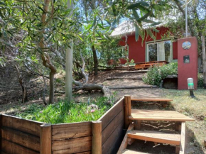 El Jardin de Sauce